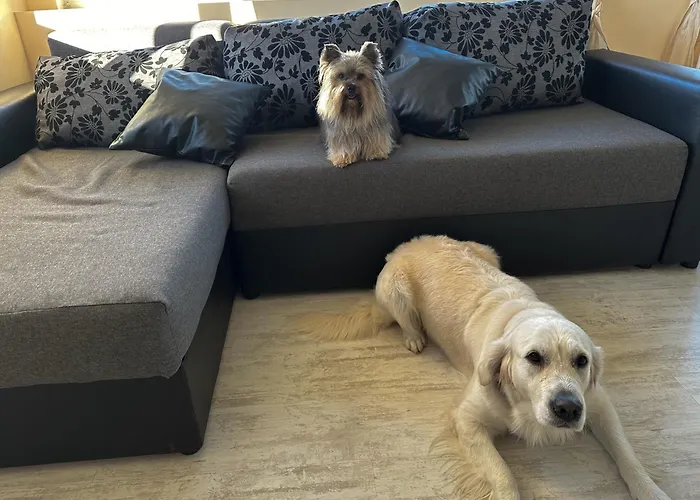 Joy アパート ヴァルナ